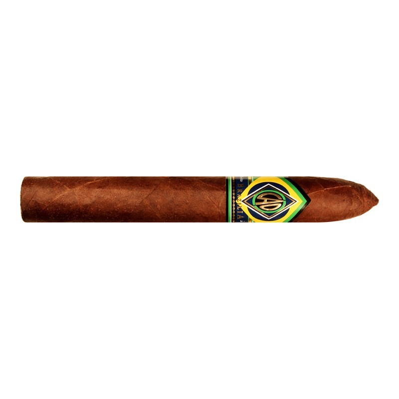 CAO Brazilia Samba