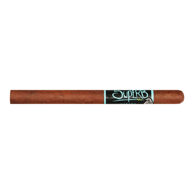 Blackbird Superb Lancero