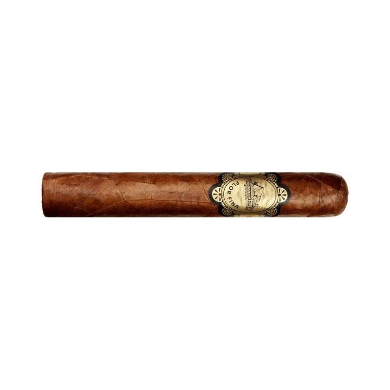 Warped Chinchalle Robusto