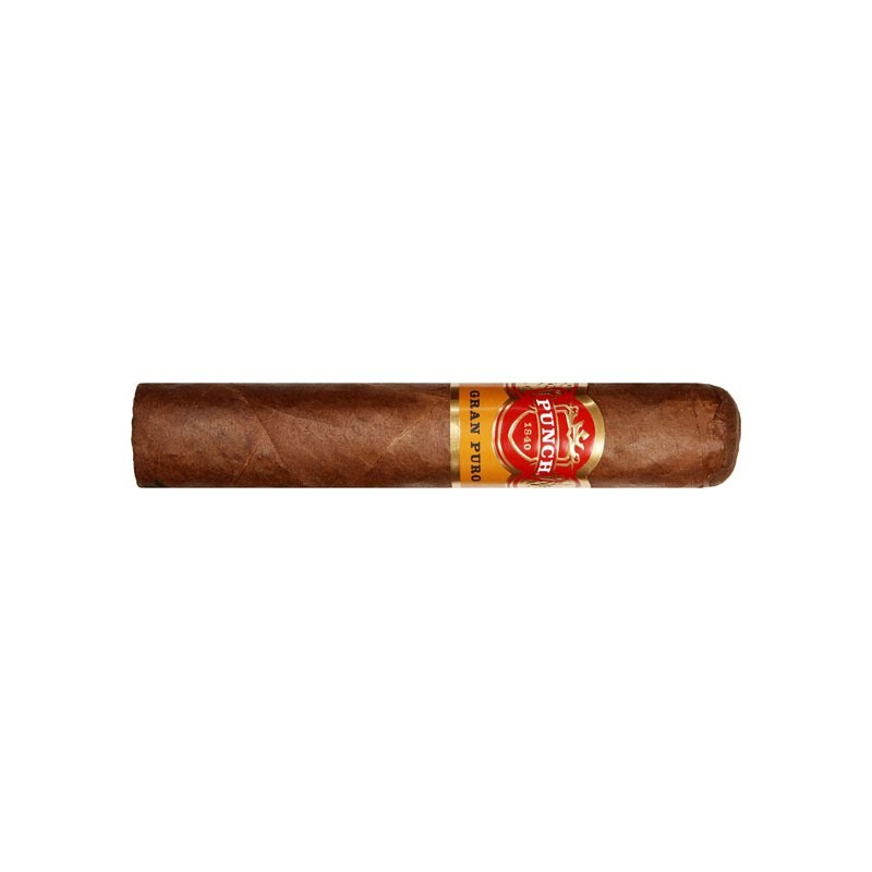 Punch Gran Puro Santa Rita (Robusto)