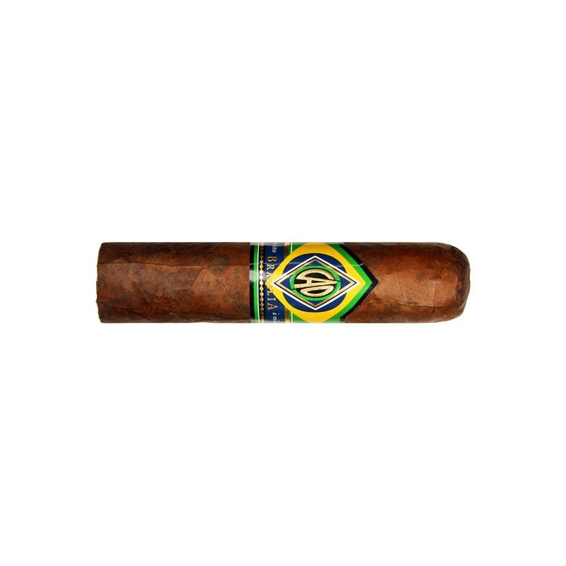 CAO Brazilia Corcovado