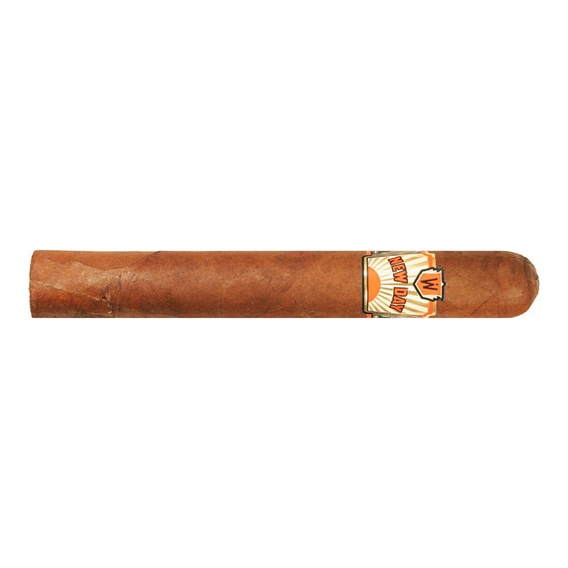 Warped New Day Toro