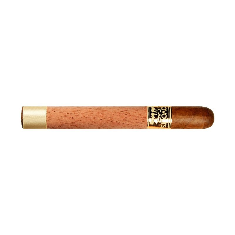 CAO Flavours Gold Honey Corona