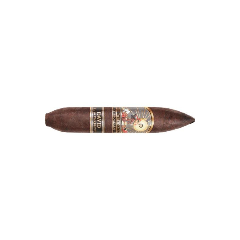 The Tabernacle David