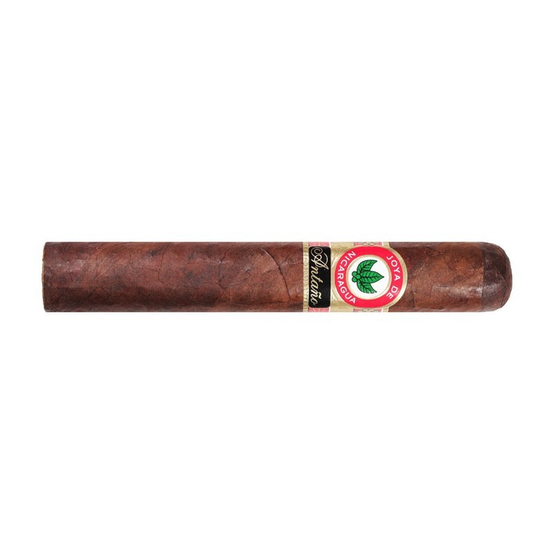 Joya de Nicaragua Antaño 1970 Robusto Grande