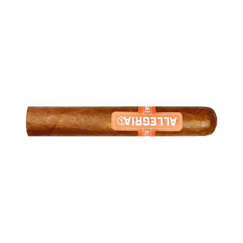 Illusione Allegria Robusto
