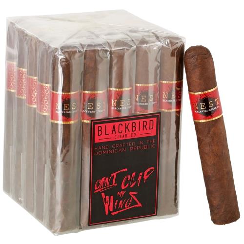 Blackbird Nest Maduro