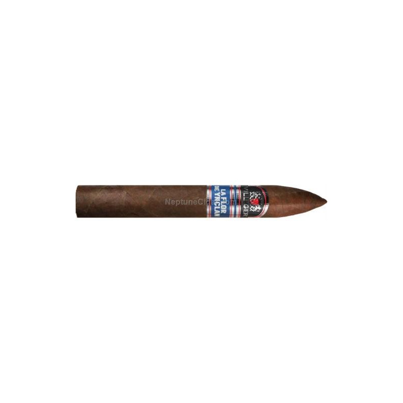 La Flor de Ynclan Torpedo