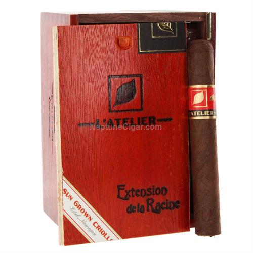 L'Atelier Extension de la Racine
