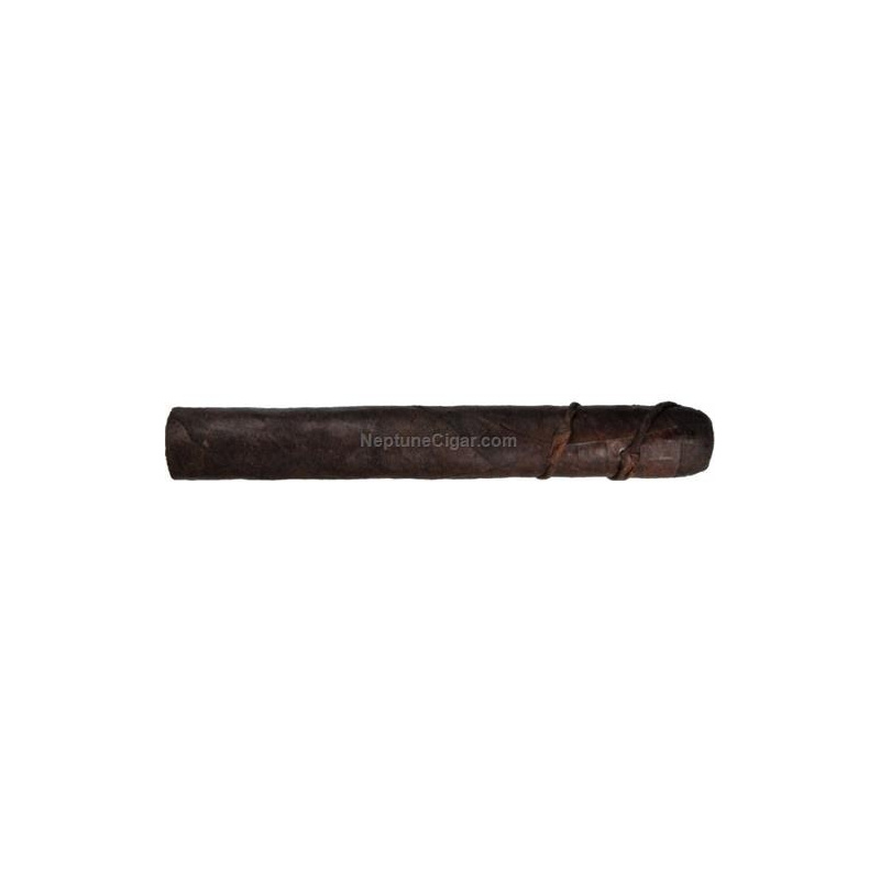 CAO Amazon Anaconda
