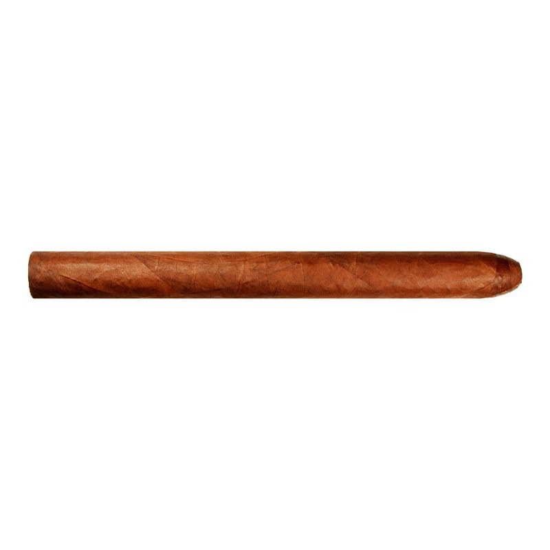 Warped Lirio Rojo Lonsdale