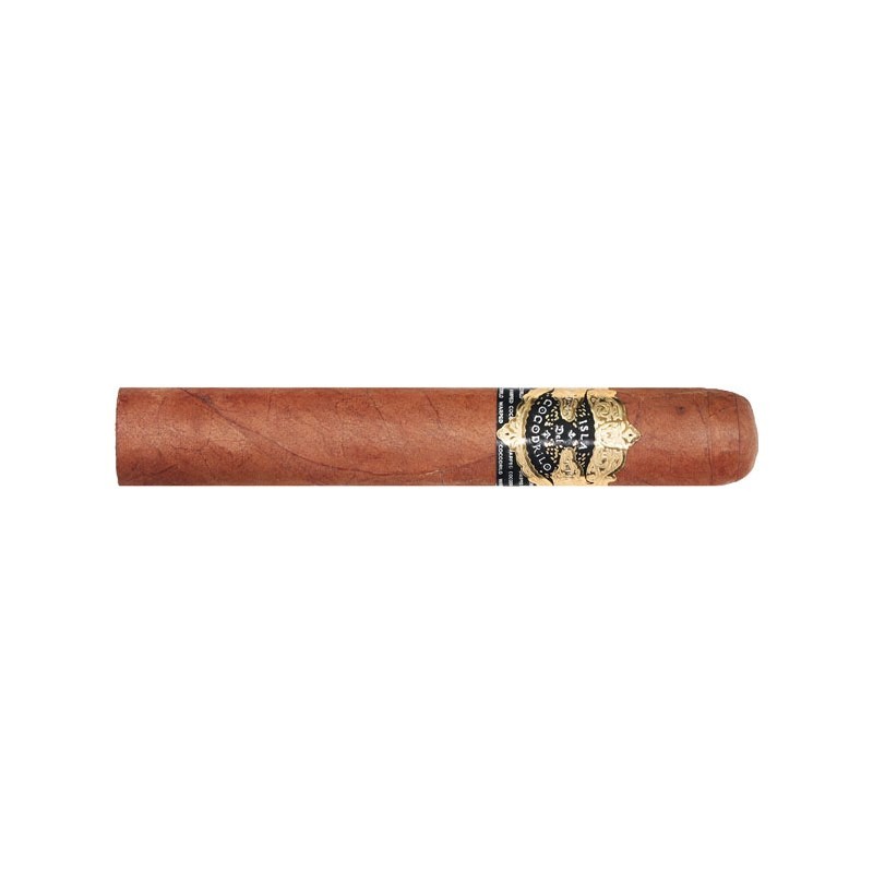 Warped Isla del Cocodrilo Robusto