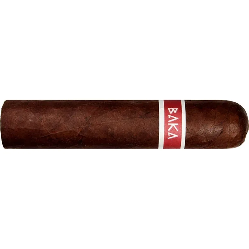 Roma Craft Baka Ota Benga