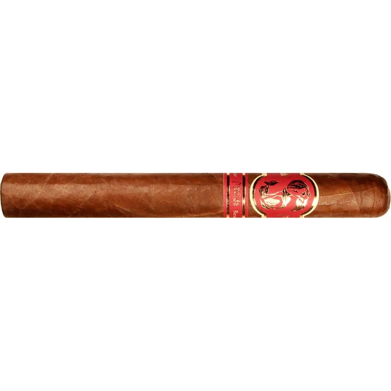 Matilde Renacer Toro Bravo