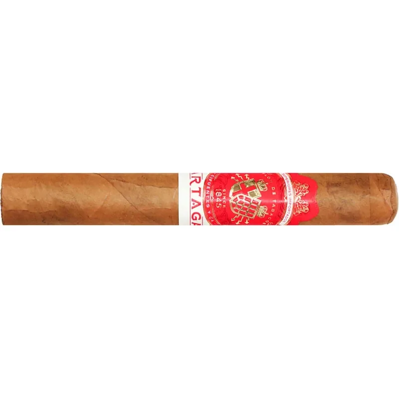 Partagas Cortado Toro