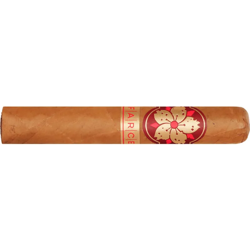 Room 101 The Farce Connecticut Robusto